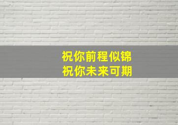 祝你前程似锦 祝你未来可期